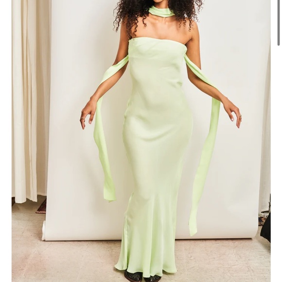 Dana Foley Champagne Evening Tube Dress brand new - Picture 4 of 6